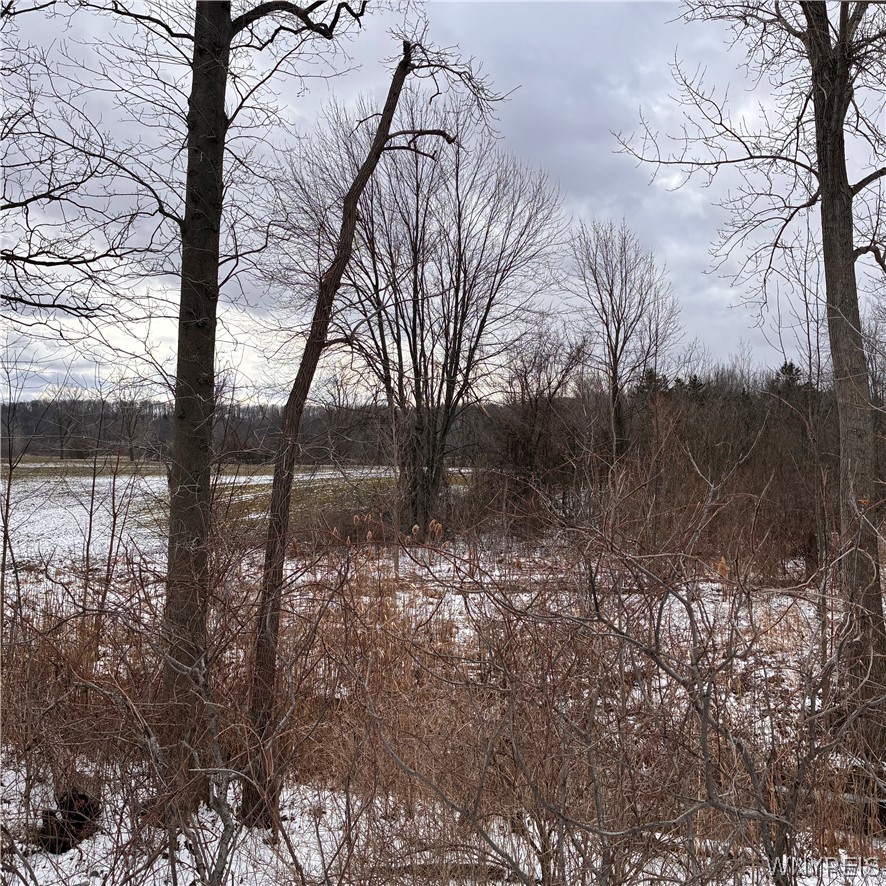 Ridge Road Ransomville, NY 14131 - Photo 22 of 27