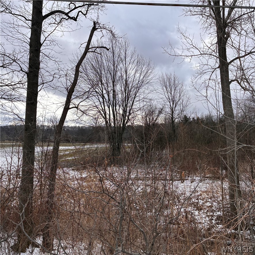 Ridge Road Ransomville, NY 14131 - Photo 23 of 27