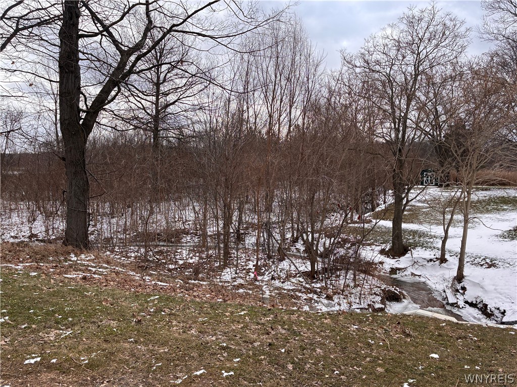 Ridge Road Ransomville, NY 14131 - Photo 3 of 27