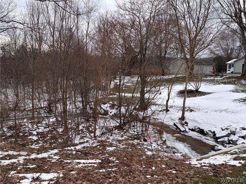 Ridge Road Ransomville, NY 14131 - Photo 4 of 27