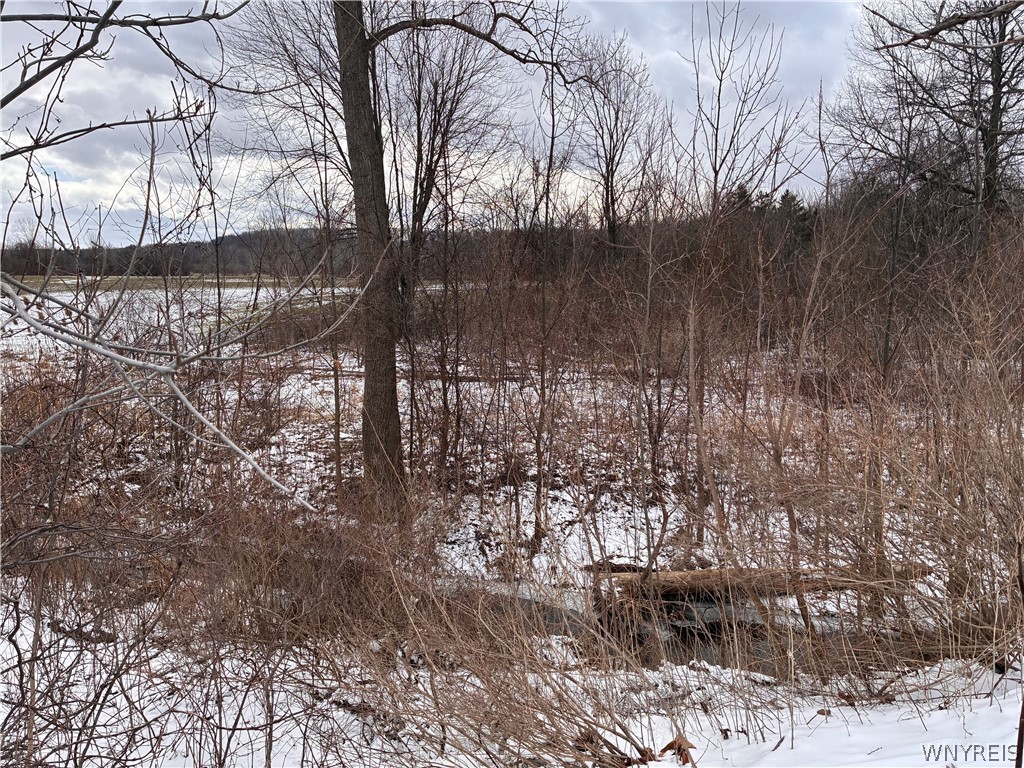 Ridge Road Ransomville, NY 14131 - Photo 7 of 27