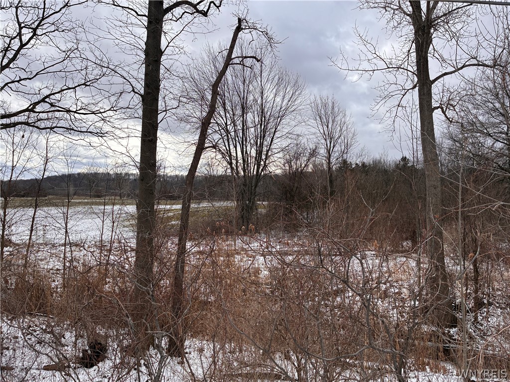 Ridge Road Ransomville, NY 14131 - Photo 8 of 27