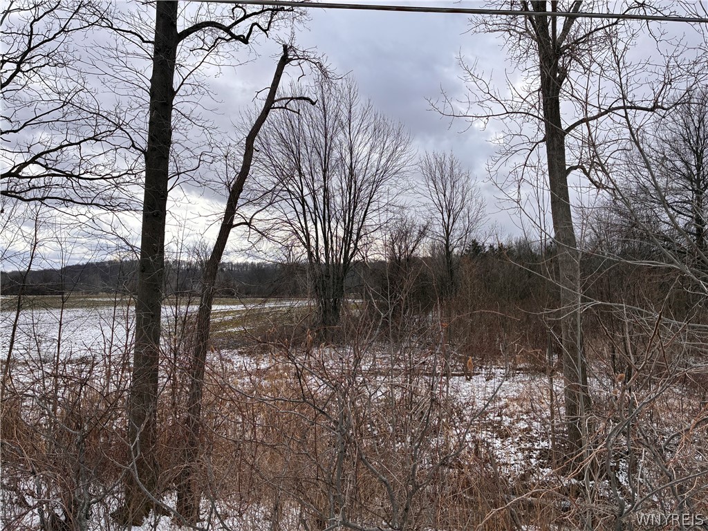 Ridge Road Ransomville, NY 14131 - Photo 9 of 27