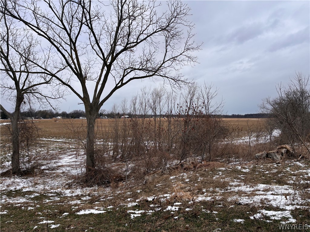 Ridge Road Ransomville, NY 14131 - Photo 10 of 27