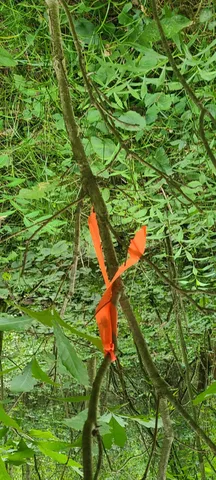 $269,500 | 45-acres 108th Avenue, Pullman, MI 49450