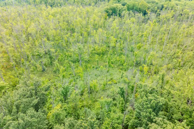 $269,500 | 45-acres 108th Avenue, Pullman, MI 49450