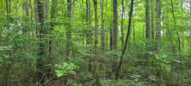 $269,500 | 45-acres 108th Avenue, Pullman, MI 49450