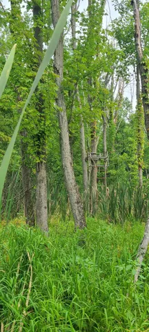 $269,500 | 45-acres 108th Avenue, Pullman, MI 49450