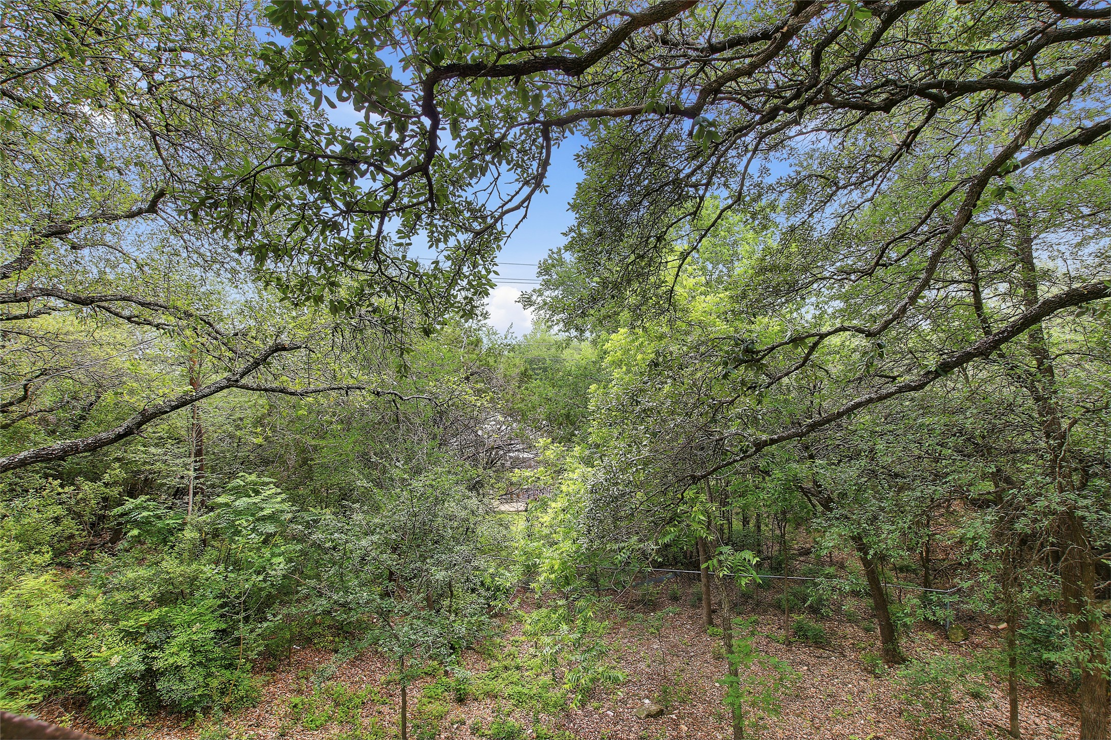 6902 Rifle Bend, Unit B Austin, TX 78736 - Photo 31 of 34 a view of a yard