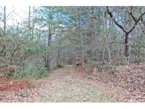 2530 Green Hill Road Del Rio, TN 37727 - Photo 18 of 24 Photo 18