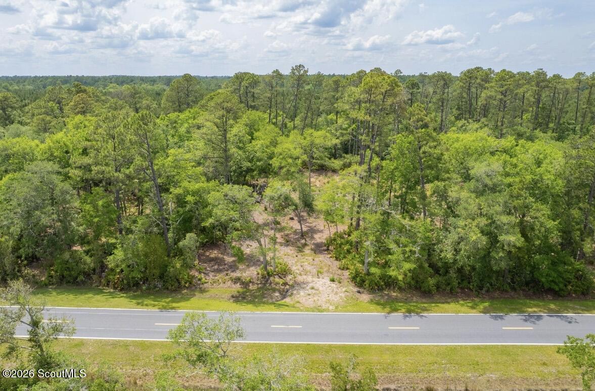 0 Piney Bluff Road Waverly, GA 31565 - Photo 26 of 26 IMG_9129