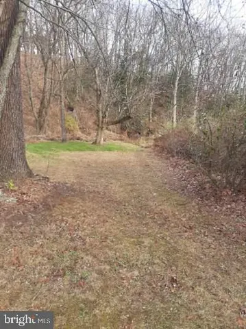 a view of yard with green space