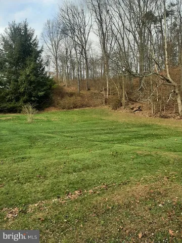 a view of a field with large trees