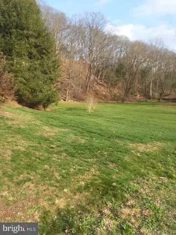 a view of yard with mountain and trees