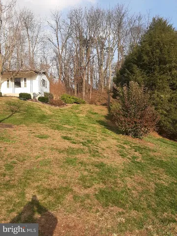 a view of large trees with yard