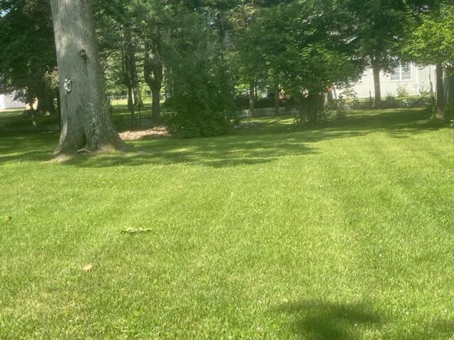 5372 Interlochen Road Coloma, MI 49038 - Photo 6 of 41 IMG_3109