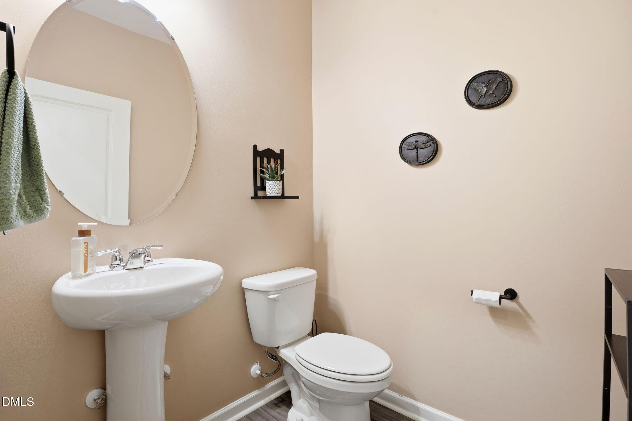 823 Piaggio Lane Spring Hope, NC 27882 - Photo 9 of 25 23-web-or-mls-DSC02258