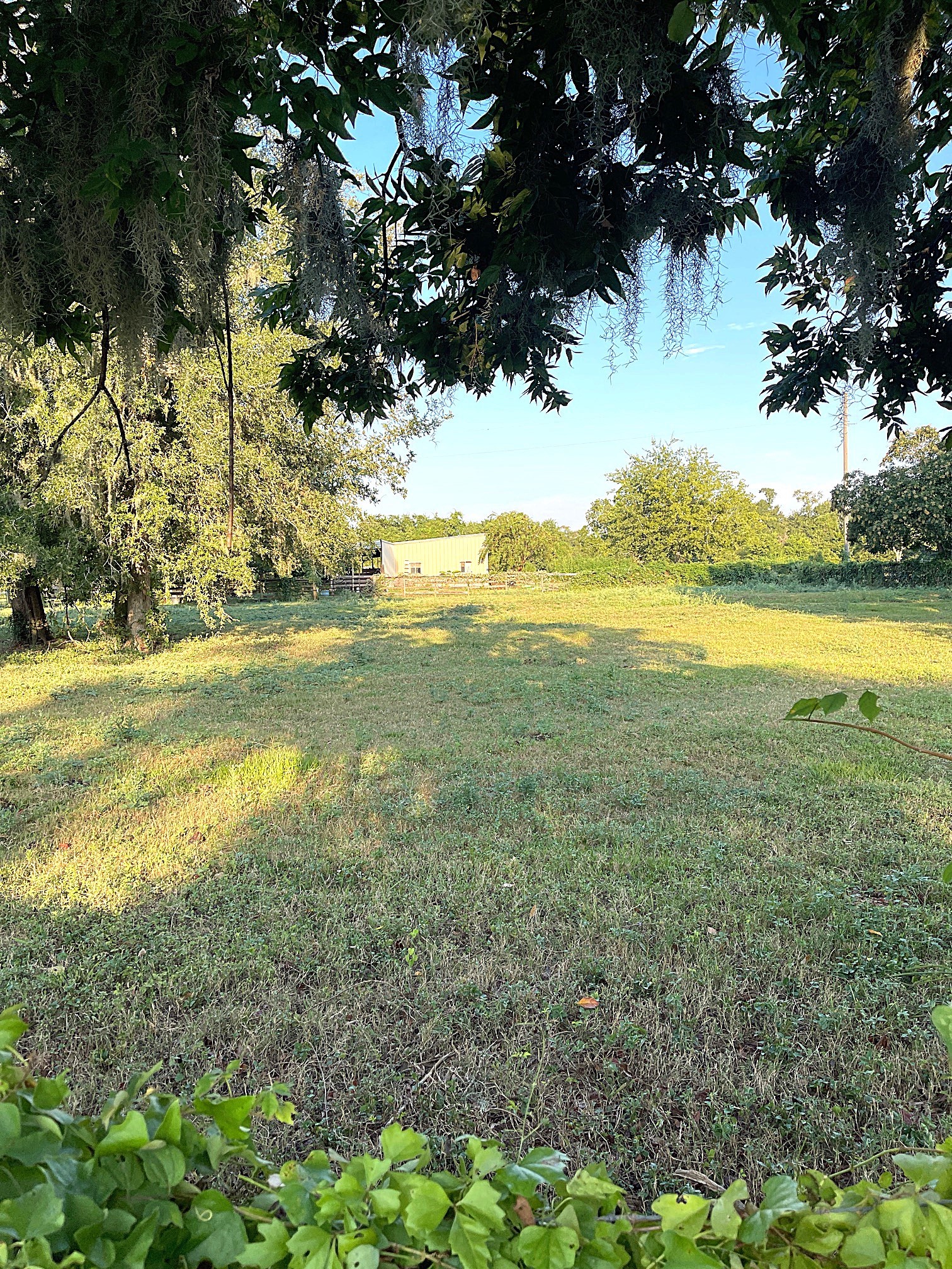 0 Hackamore Road Wallis, TX 77485 - Photo 16 of 33 a view of an ocean from a yard