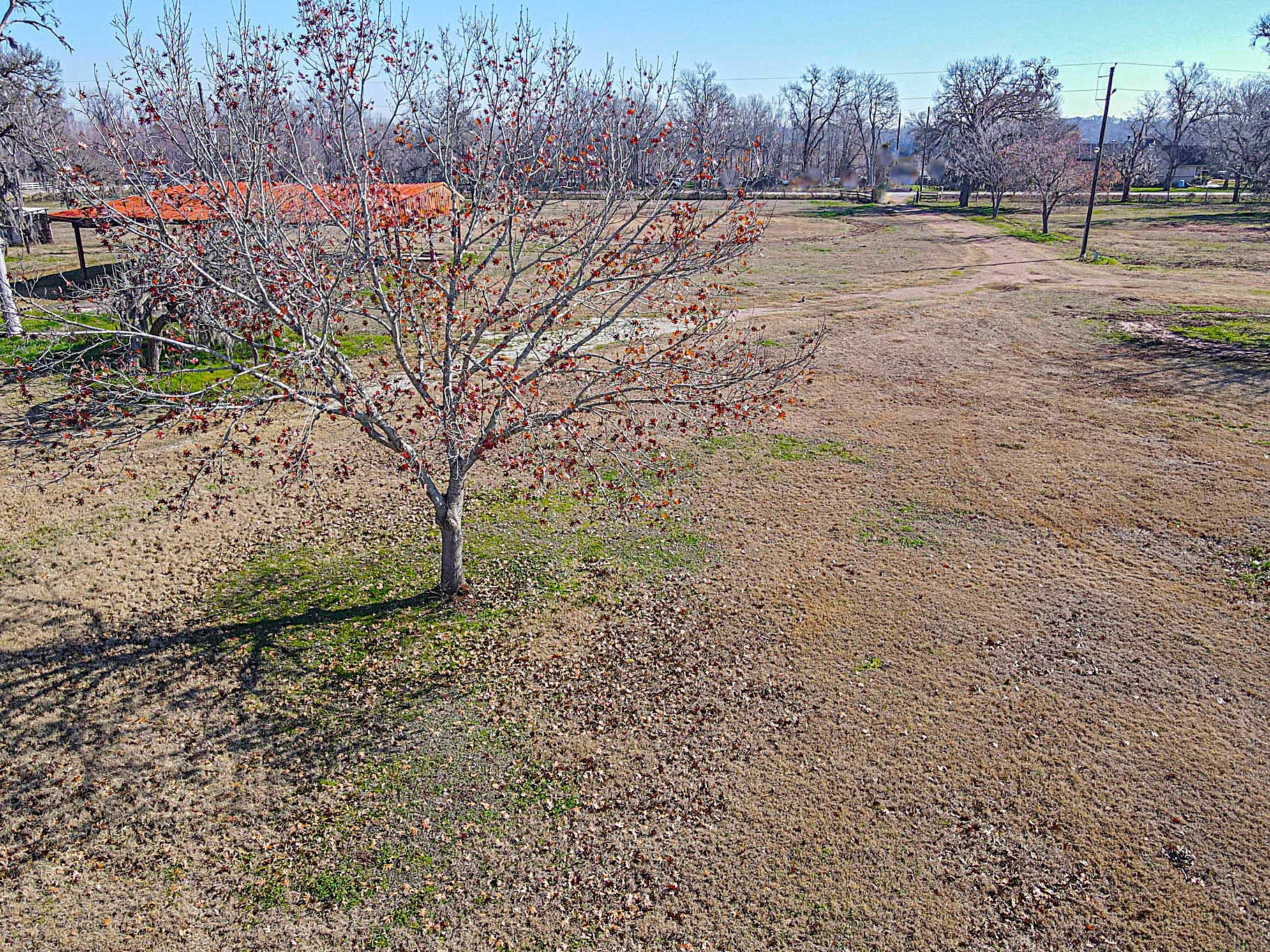 0 Hackamore Road Wallis, TX 77485 - Photo 20 of 22 a view of an outdoor space and yard