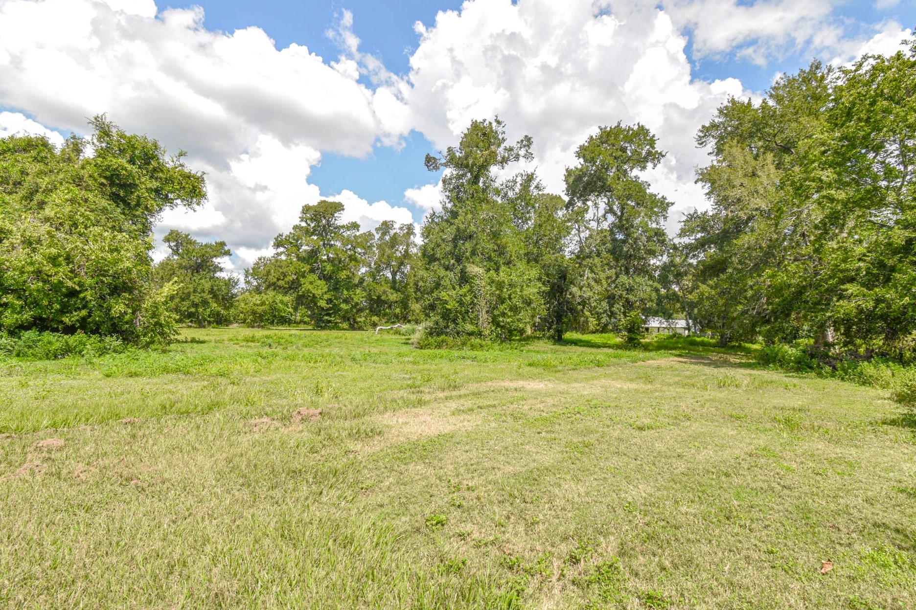 0 Hackamore Road Wallis, TX 77485 - Photo 2 of 22 a view of a green field with lots of trees