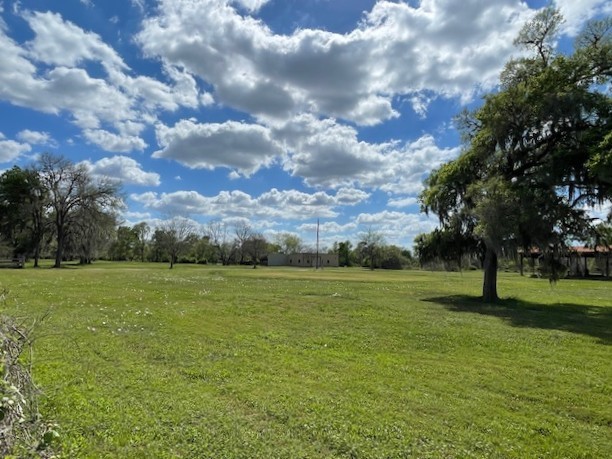 0 Hackamore Road Wallis, TX 77485 - Photo 27 of 33 a view of field with an trees