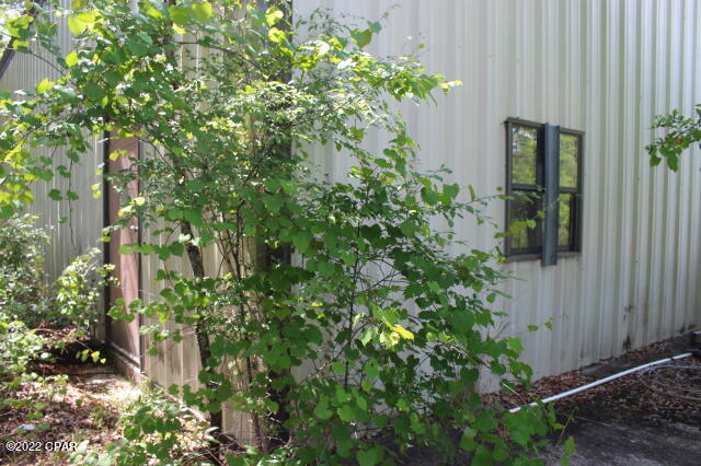 4875 Hasty Pond Road Marianna, FL 32448 - Photo 5 of 25 Gallery Image 5