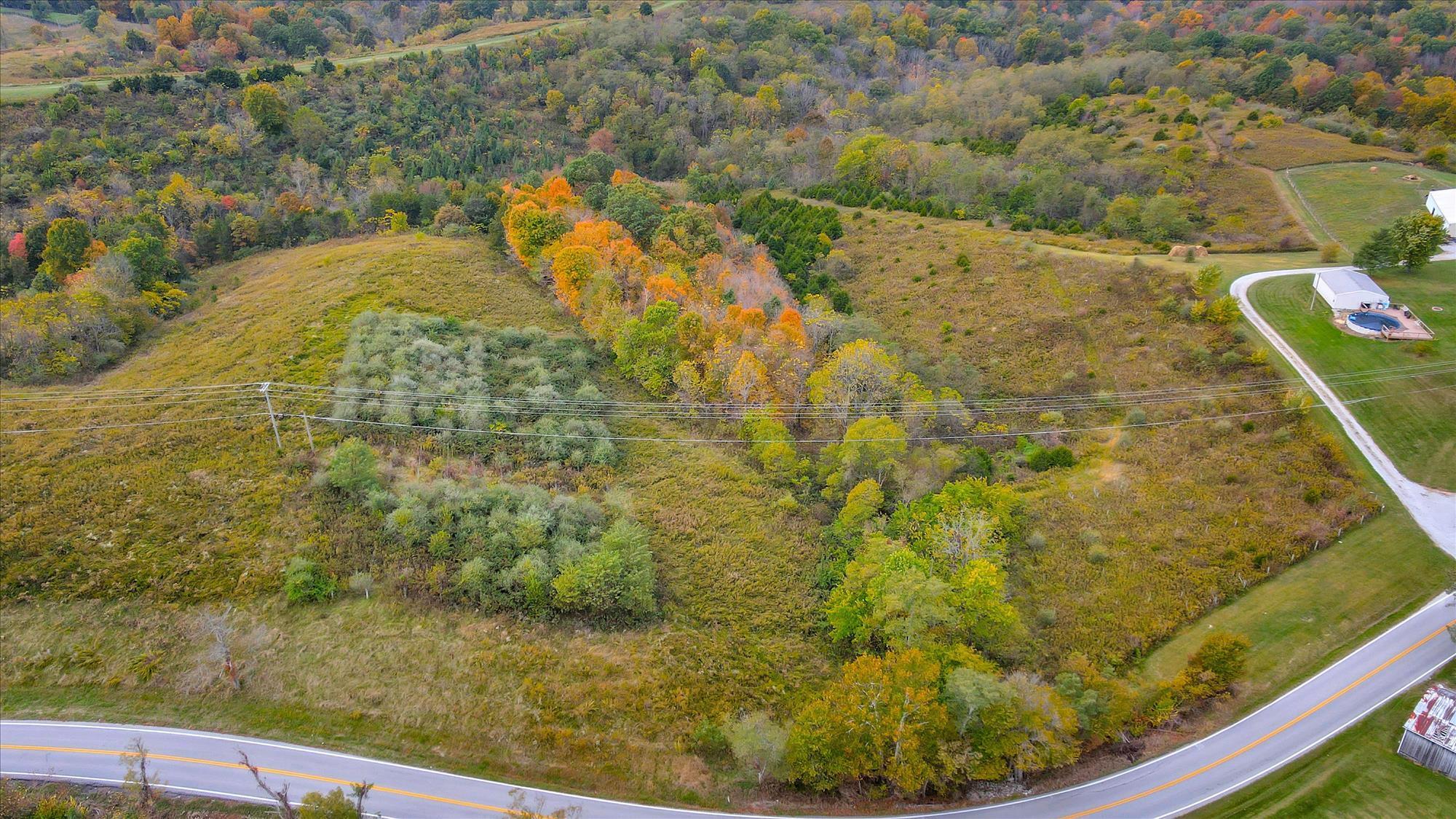 Lot #1 Georgetown Road Owenton, KY 40359 - Photo 4 of 12