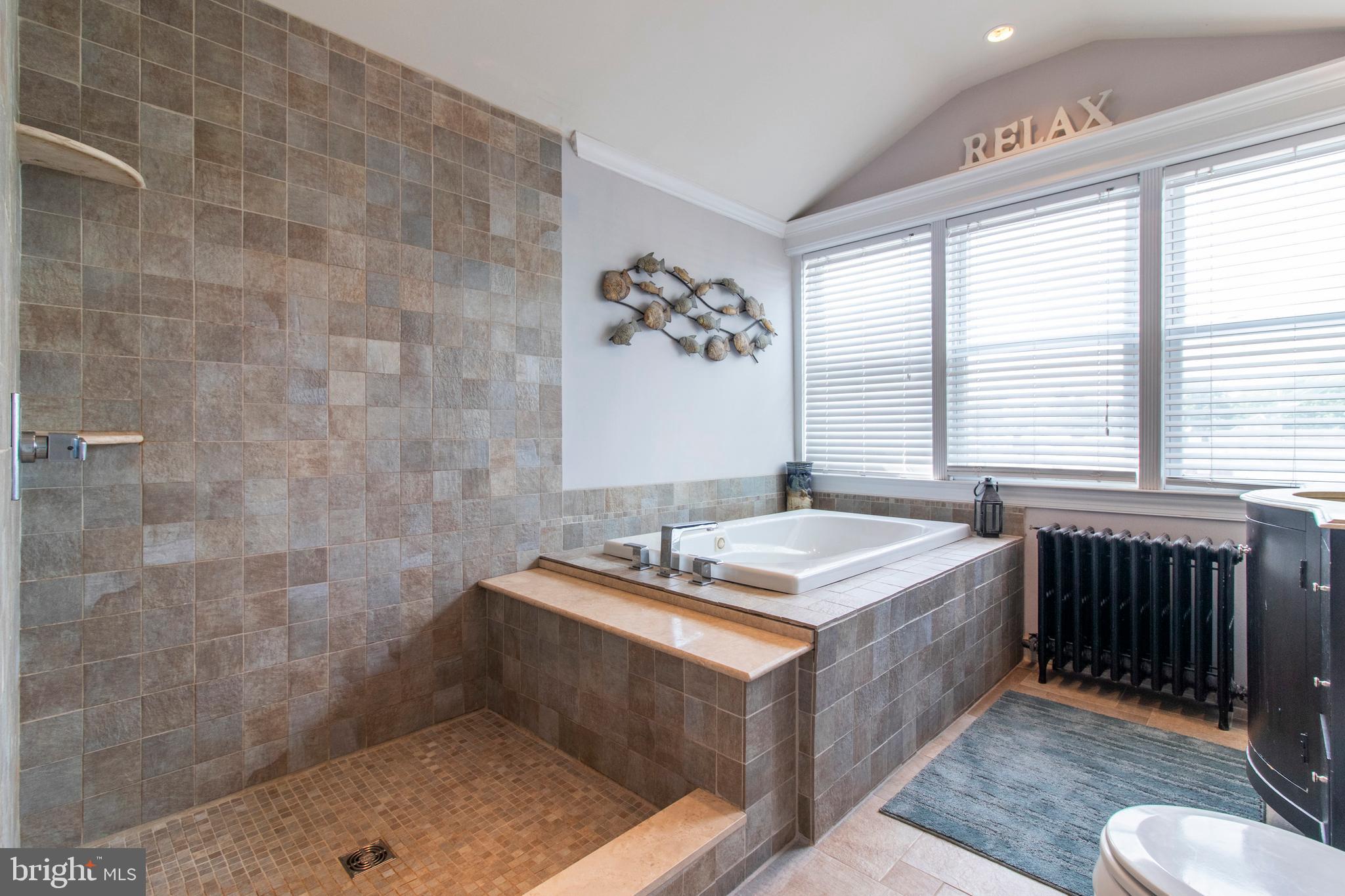 317-19 Rector Street Philadelphia, PA 19128 - Photo 23 of 30 Master Bathroom