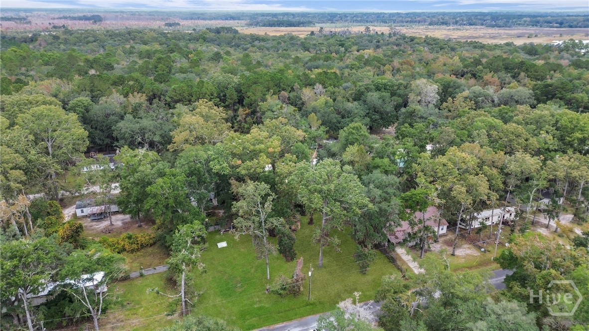 161 C C Jones Street Midway, GA 31320 - Photo 22 of 44