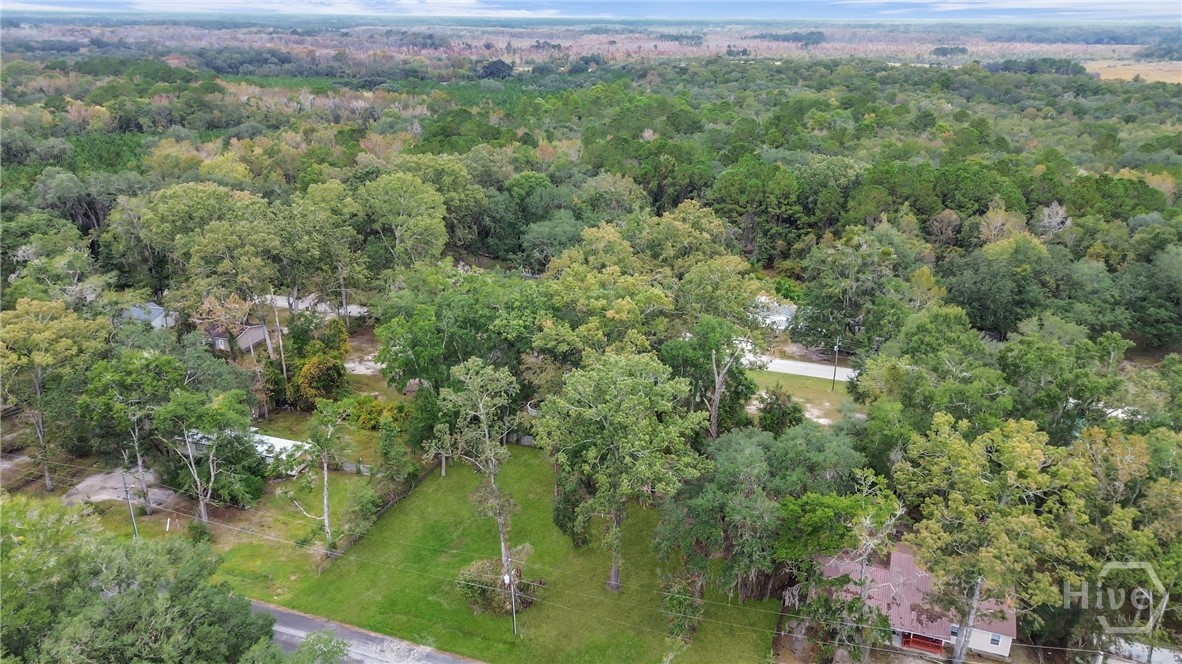 161 C C Jones Street Midway, GA 31320 - Photo 25 of 44