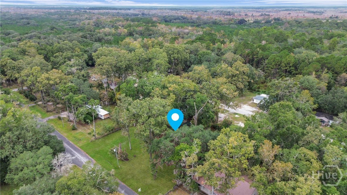 161 C C Jones Street Midway, GA 31320 - Photo 27 of 44