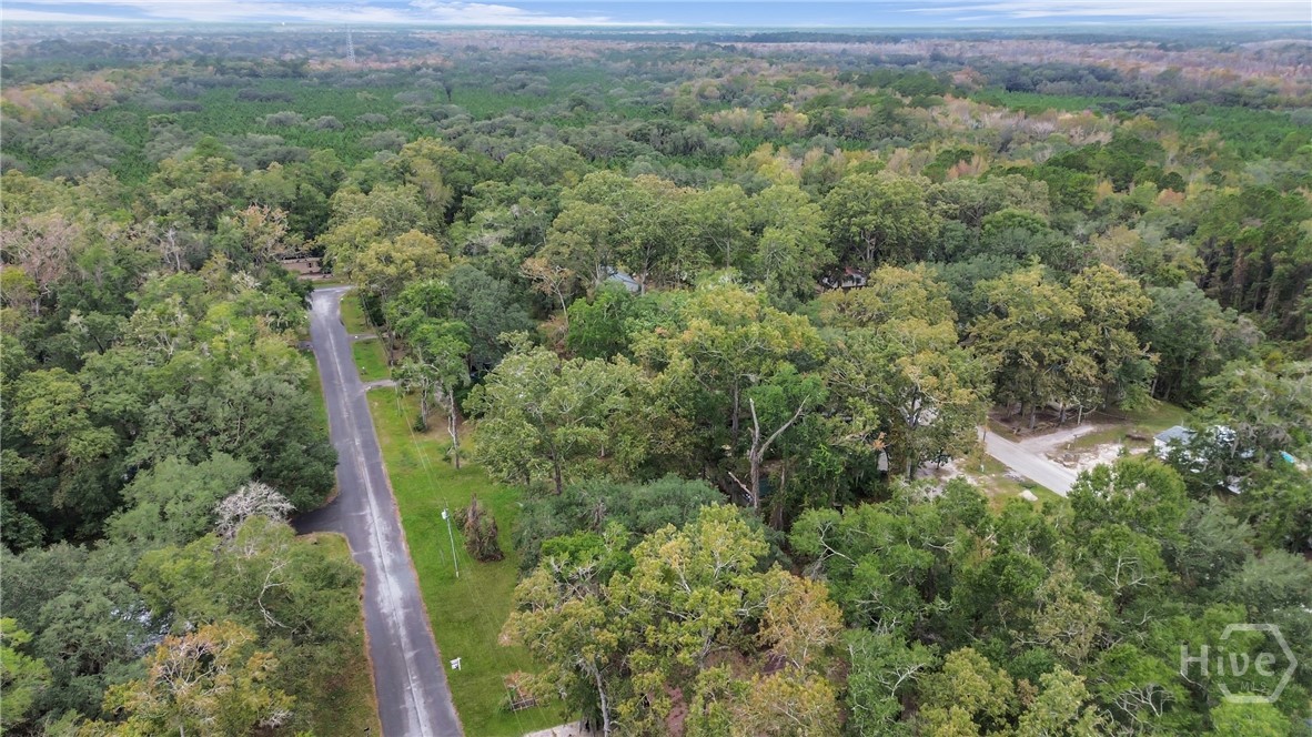 161 C C Jones Street Midway, GA 31320 - Photo 28 of 44