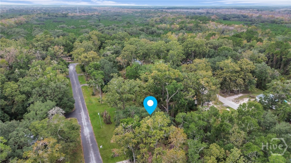 161 C C Jones Street Midway, GA 31320 - Photo 29 of 44