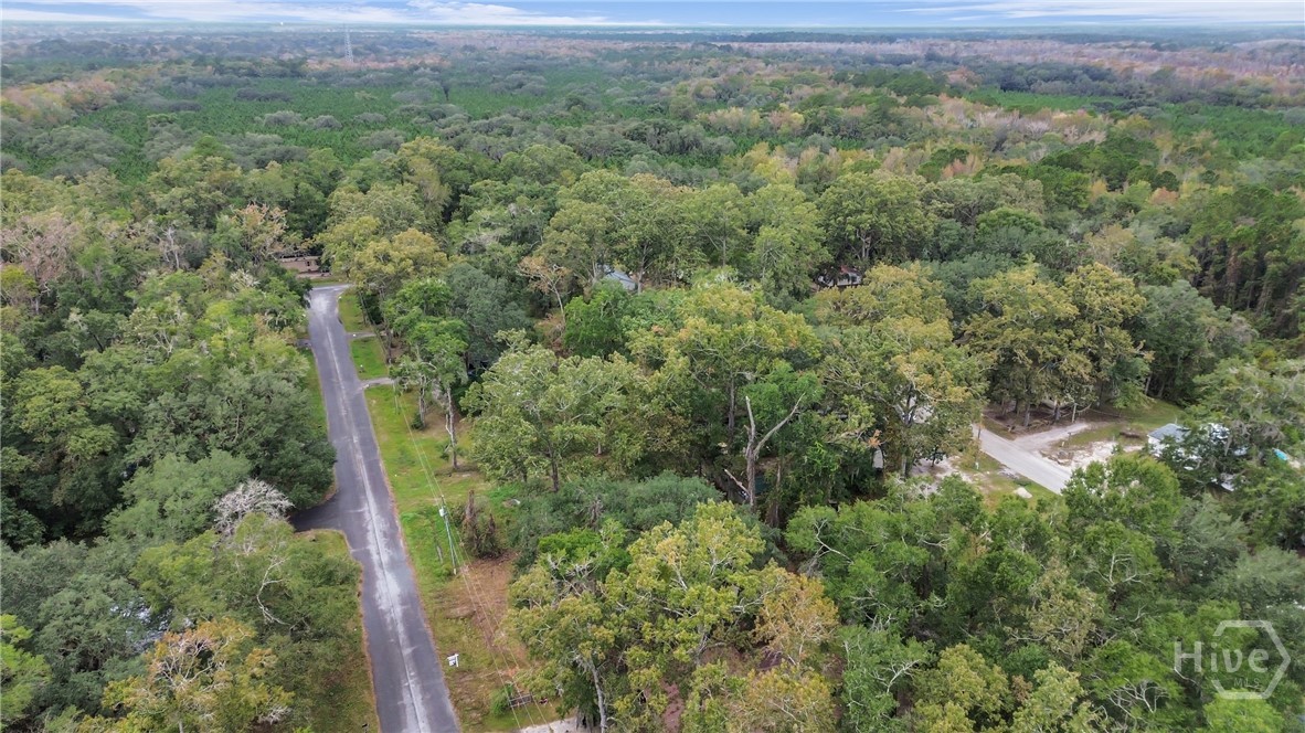 161 C C Jones Street Midway, GA 31320 - Photo 30 of 44