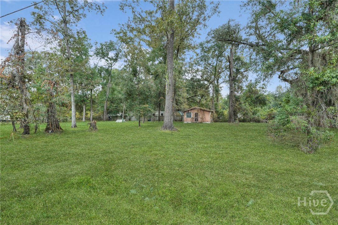 161 C C Jones Street Midway, GA 31320 - Photo 3 of 44