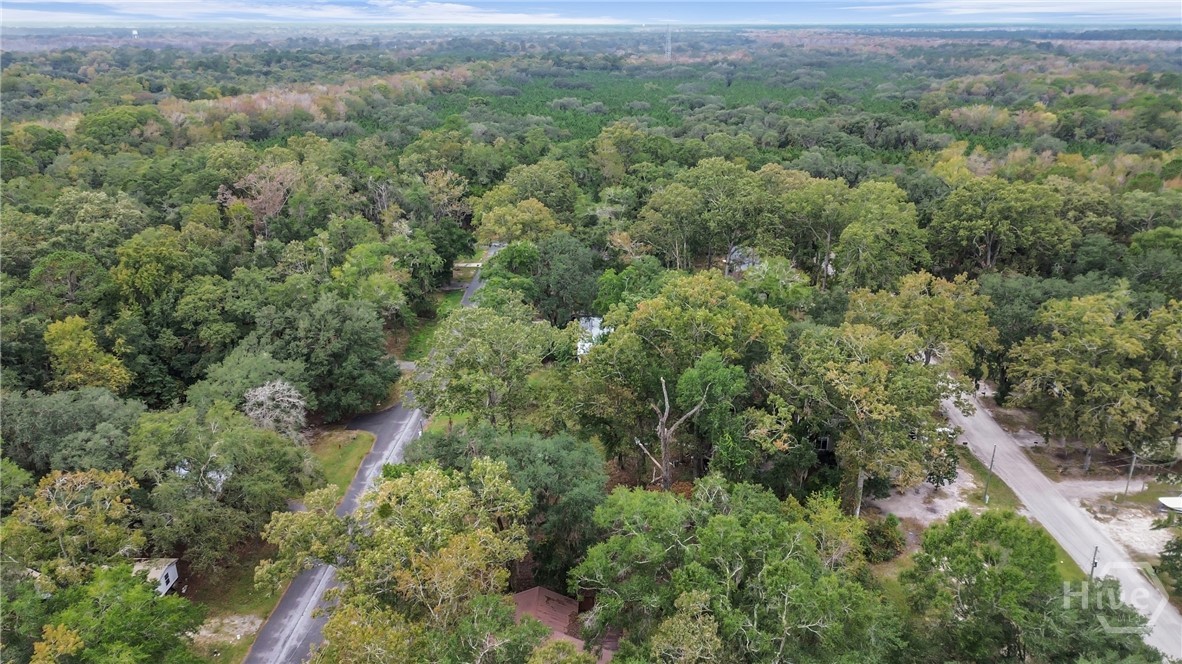 161 C C Jones Street Midway, GA 31320 - Photo 33 of 44