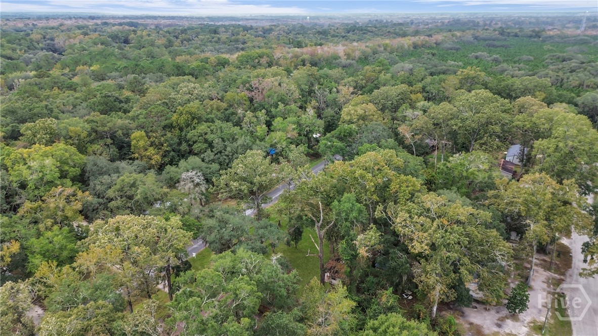 161 C C Jones Street Midway, GA 31320 - Photo 34 of 44