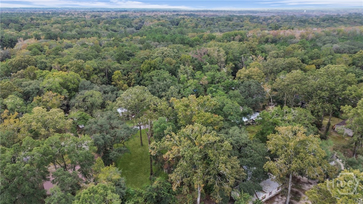 161 C C Jones Street Midway, GA 31320 - Photo 36 of 44