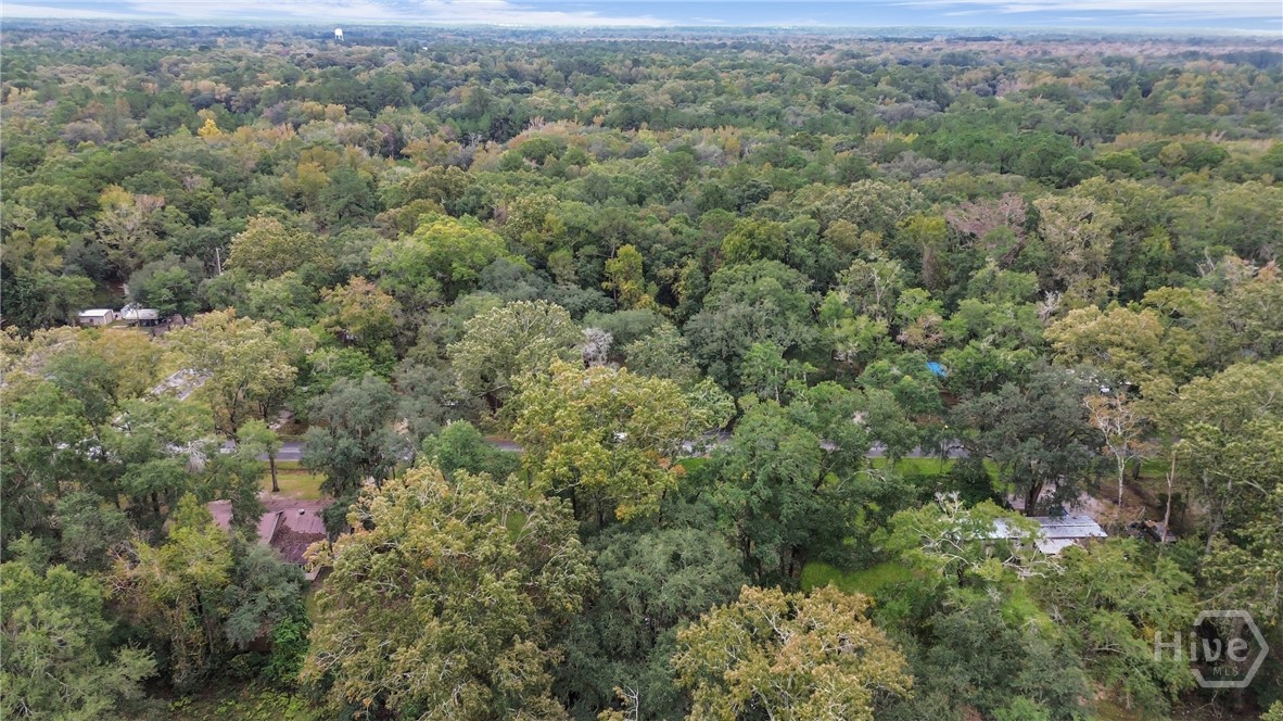 161 C C Jones Street Midway, GA 31320 - Photo 37 of 44