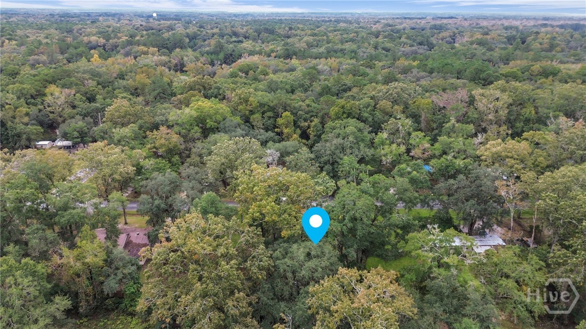 161 C C Jones Street Midway, GA 31320 - Photo 38 of 44