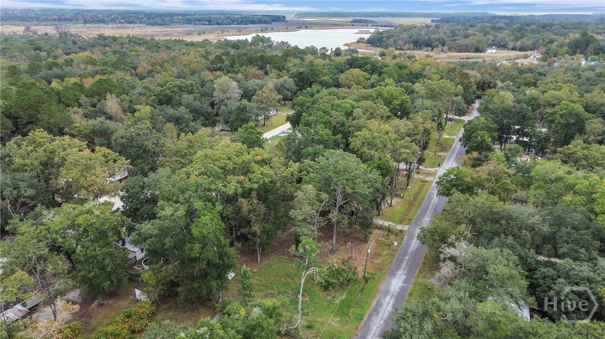 161 C C Jones Street Midway, GA 31320 - Photo 41 of 44