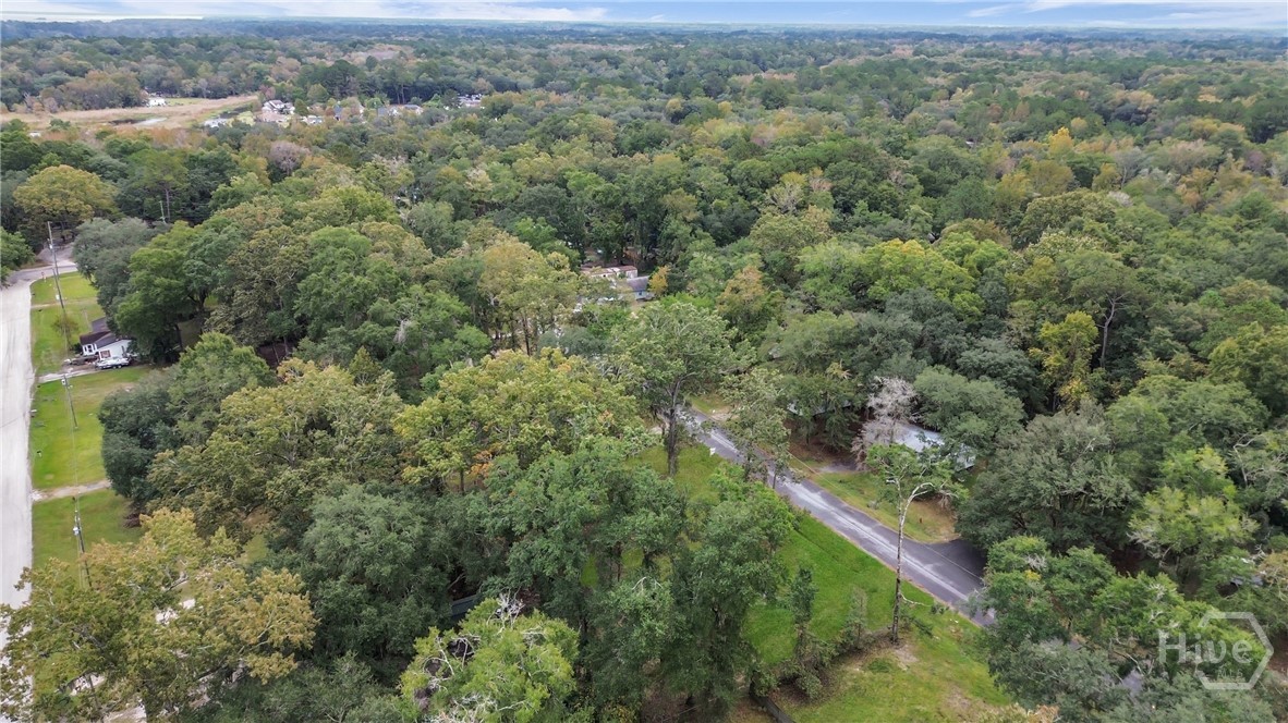 161 C C Jones Street Midway, GA 31320 - Photo 42 of 44