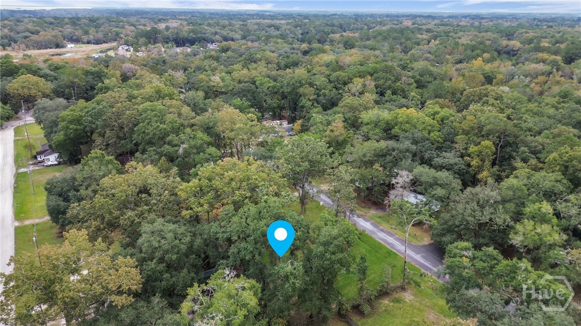 161 C C Jones Street Midway, GA 31320 - Photo 43 of 44