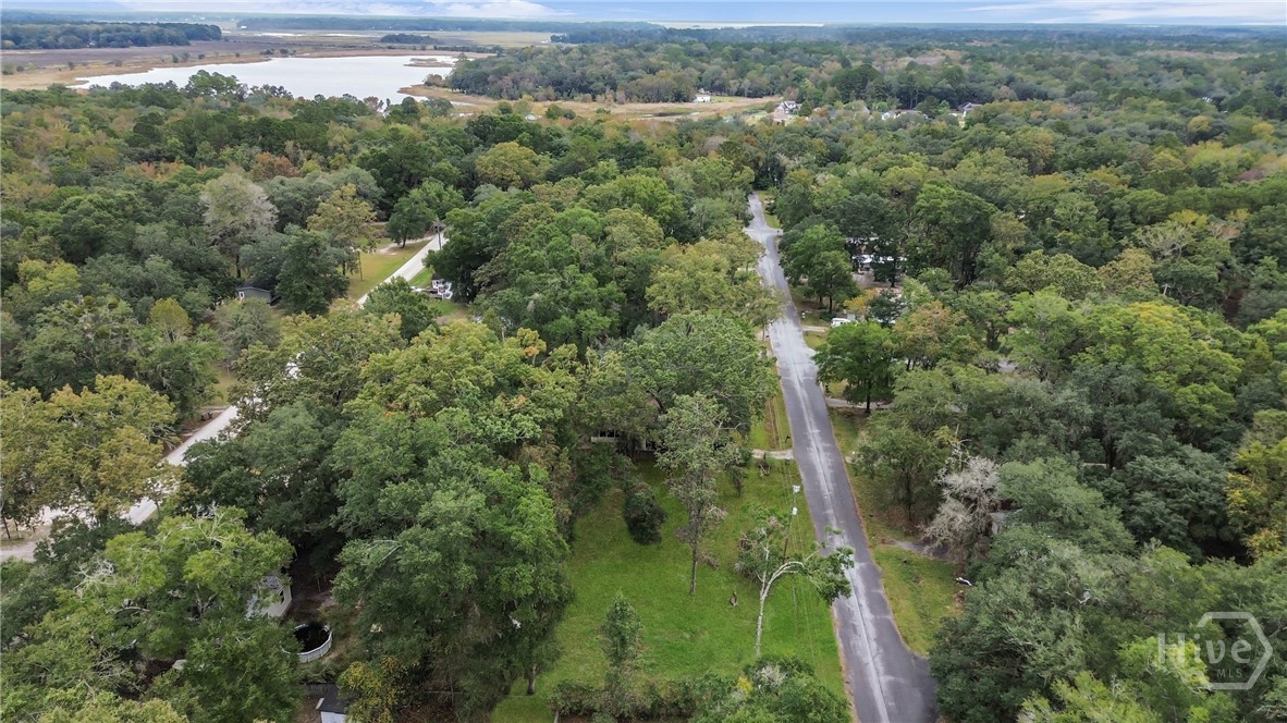 161 C C Jones Street Midway, GA 31320 - Photo 44 of 44