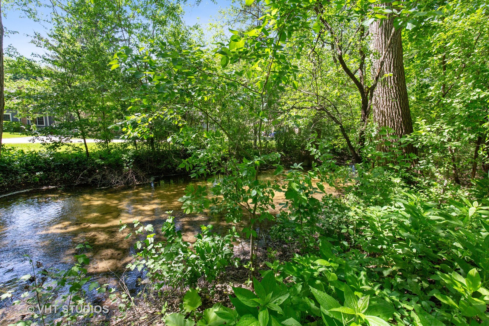 465 Riverside Drive Crystal Lake, IL 60014 - Photo 30 of 30 a view of a yard with plants and a large tree