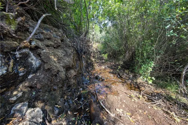 a view of a lake with mountains in the background