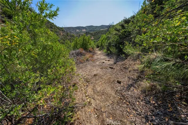 a view of a field with mountains in the background