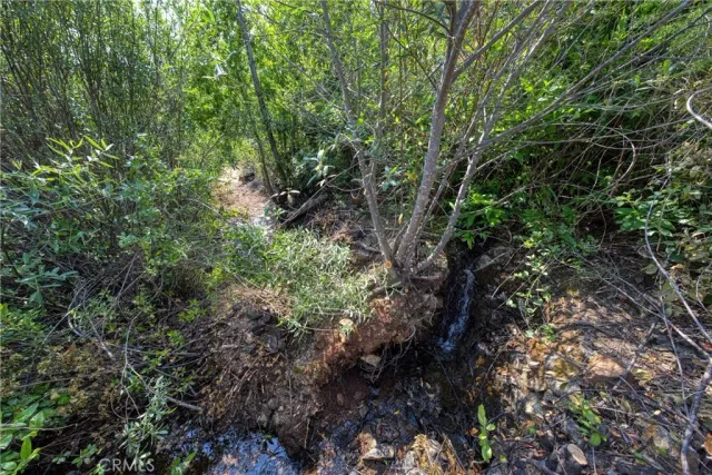 a view of a large mountains with plants and mountains