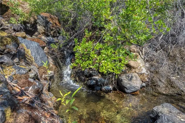 a view of a dry yard with mountains in the background