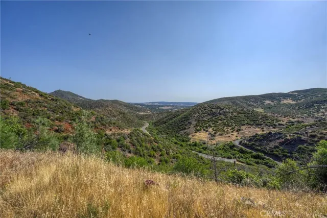 a plant that is in a garden